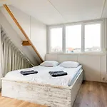 Zon Modern House