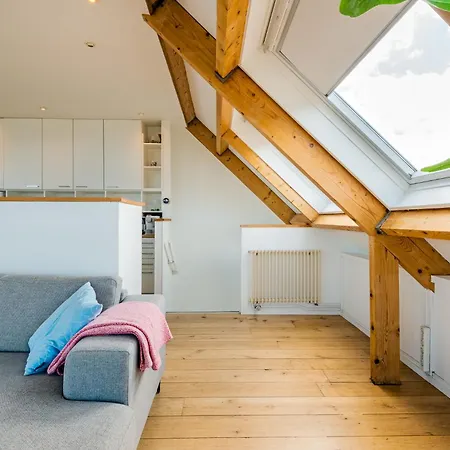 Zon Modern House