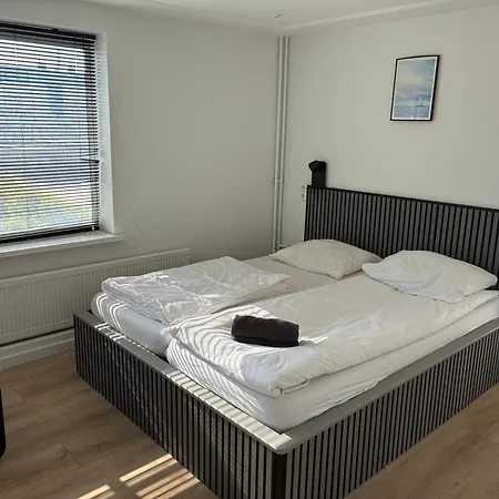 Zon Modern House